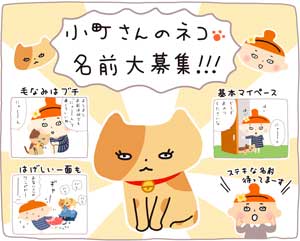 小町さん飼い猫名前募集